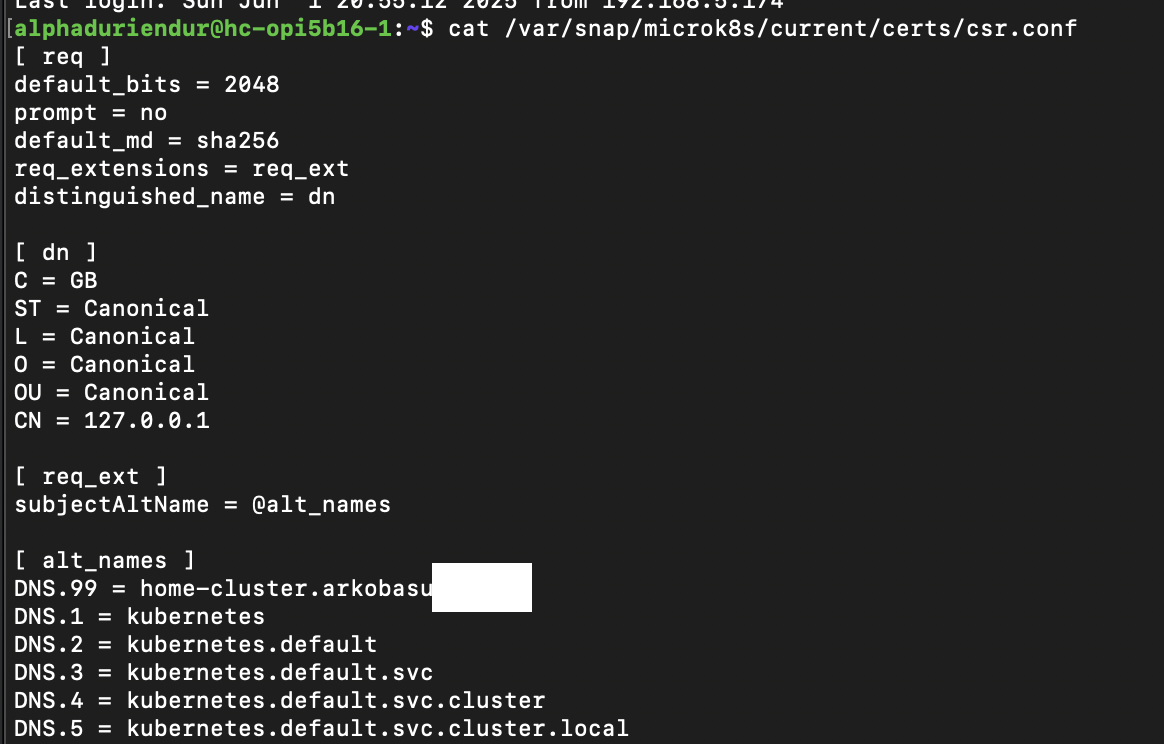 Custom Domain for Kubernetes API